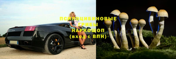 ГАЛЛЮЦИНОГЕННЫЕ ГРИБЫ Алексеевка