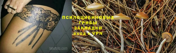 ГАЛЛЮЦИНОГЕННЫЕ ГРИБЫ Алексеевка