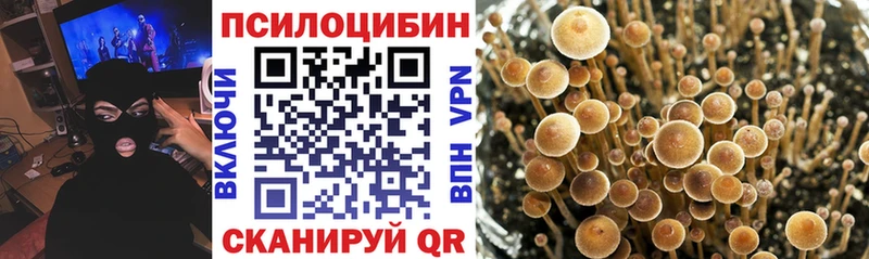 Псилоцибиновые грибы Magic Shrooms  где можно купить   дарк нет телеграм  Уяр  blacksprut сайт 